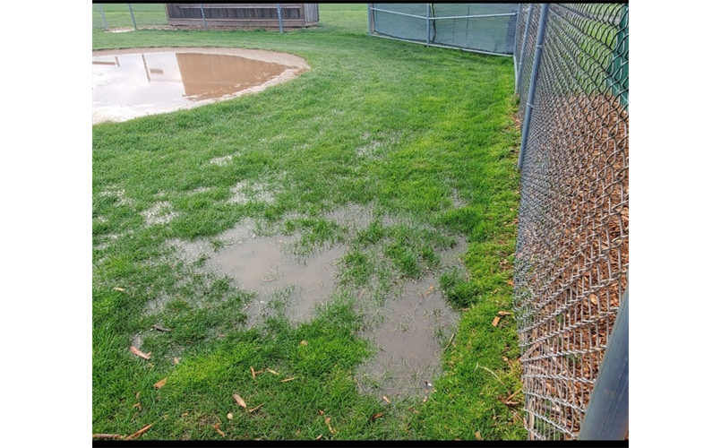 Fields after April 25th rains